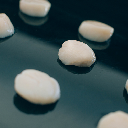 Japanese Hokkaido Scallops  (Patinopecten yessoensis)