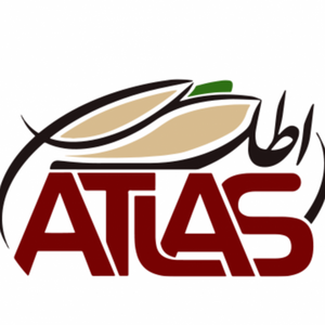 Tosea&Tejarat Atlas Negin Derakhshan Co