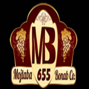 Mojtaba Bonab Co