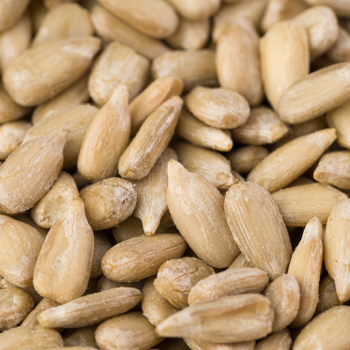 Sunflower Kernels
