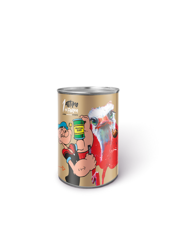 1 Attimo in Forma Keto Collection Catalog