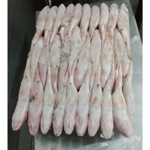 Frozen Fish