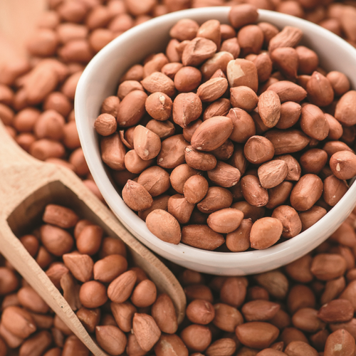 Raw, Blanched & Roasted Peanut (Groundnut)