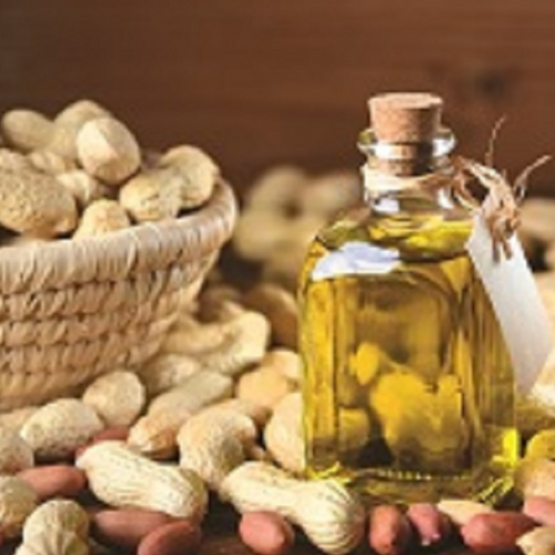 Raw, Blanched & Roasted Peanut (Groundnut)