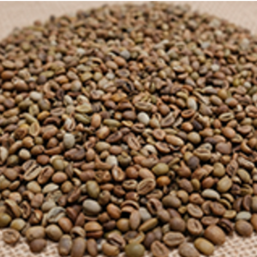 CONILON/ROBUSTA COFFEE