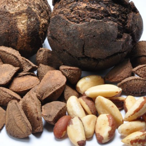 Organic Brazil Nuts