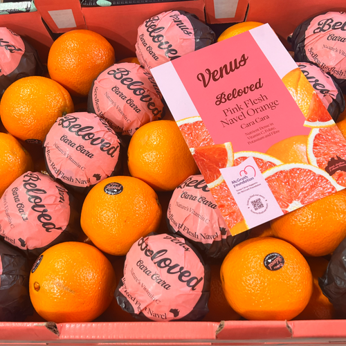 Cara Cara Pink Flesh Navel Orange