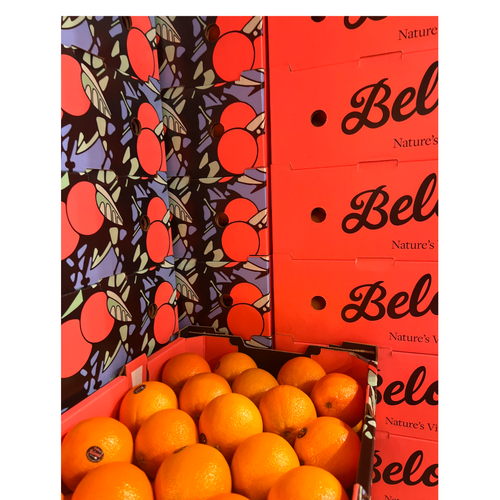 Cara Cara Pink Flesh Navel Orange