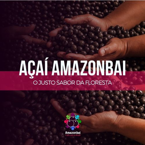 Manejo sustentável na Amazônia