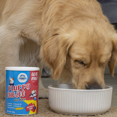 Nature One Dairy Fluffy Choice Pet Supplement Powder