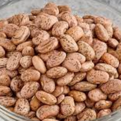 Pinto Beans