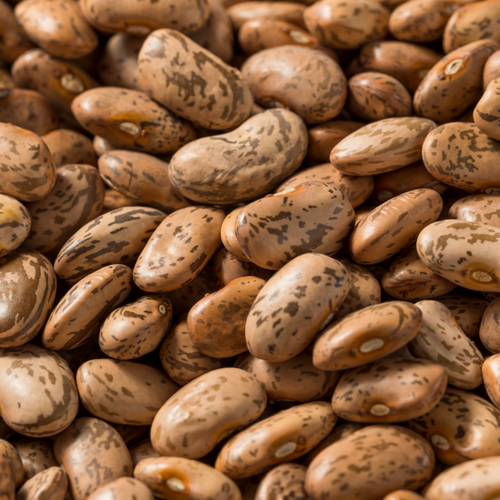 Pinto Beans