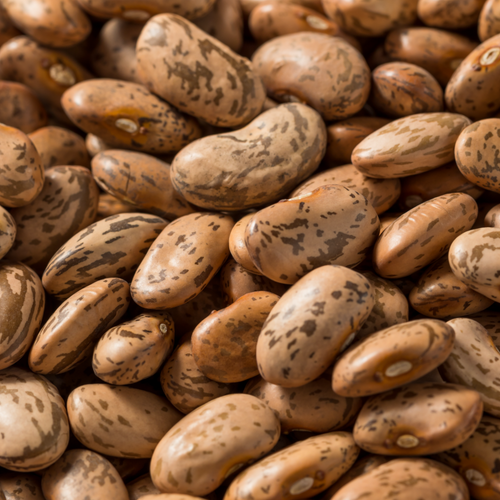 Pinto Beans