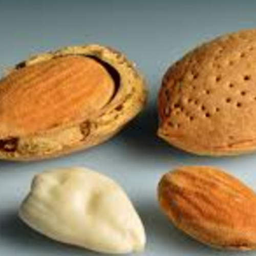 ALMOND