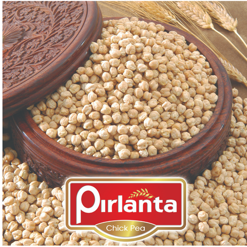Chickpea