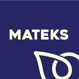 Mateks Food Industry Inc