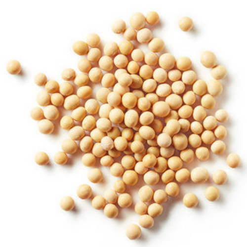SOYBEAN