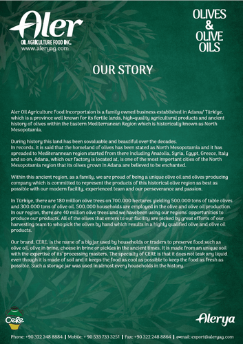 Olive & Olive Oil Catalogue