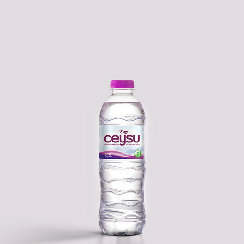 0,5L PET Ceysu Natural Spring Water