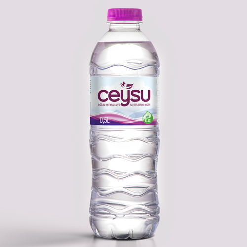 0,5L PET Ceysu Natural Spring Water
