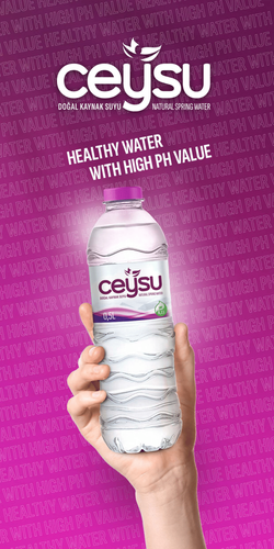 Ceysu Brochure