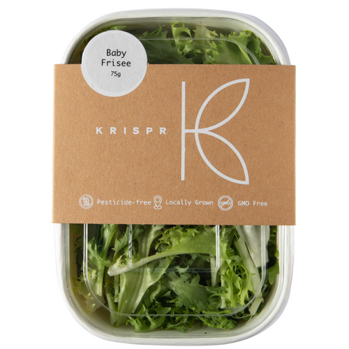 Baby Frisée Lettuce, 75g