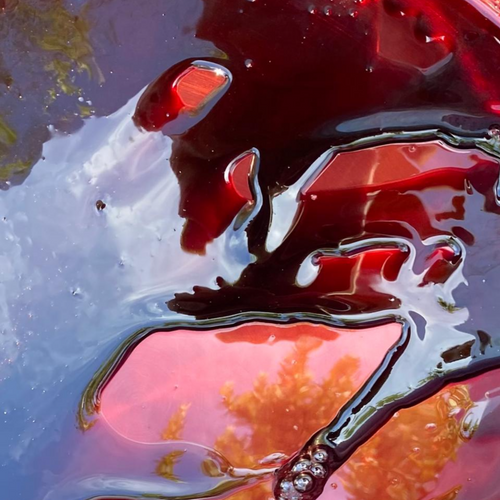 Cape Cuisine gift box set