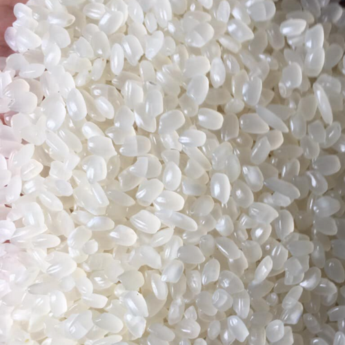 GOLDEN CALF - JAPONICA RICE