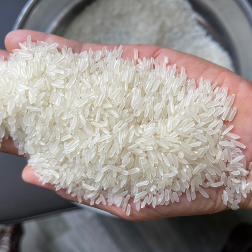 GOLDEN CALF - JASMINE RICE