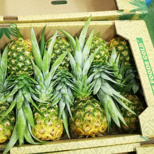 Fresh MD2 Pineapple