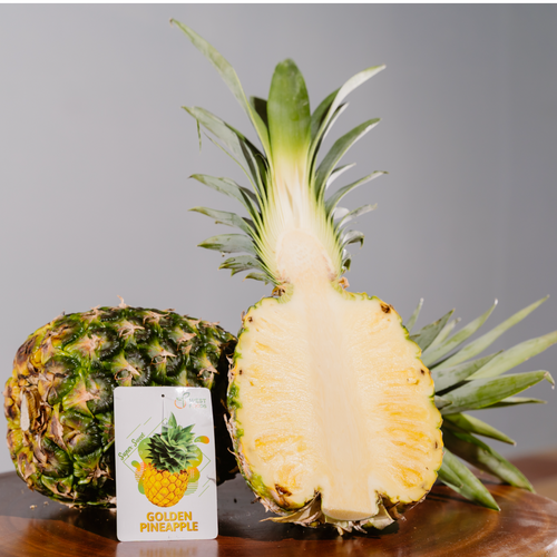 Fresh MD2 Pineapple