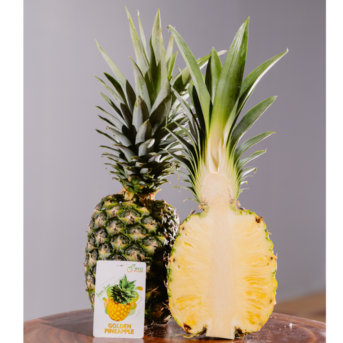 Fresh MD2 Pineapple