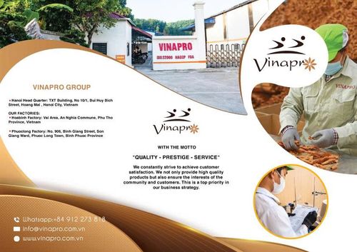 VINAPRO GROUP - PROFILE