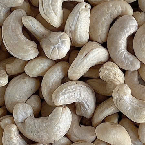 Vietnamese Cashew Nuts WW320 – Thanh Nam Production