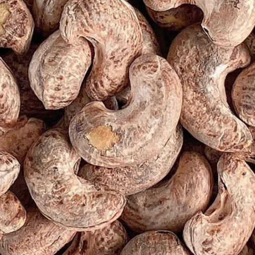 Vietnamese Cashew Nuts WW180– Thanh Nam Production