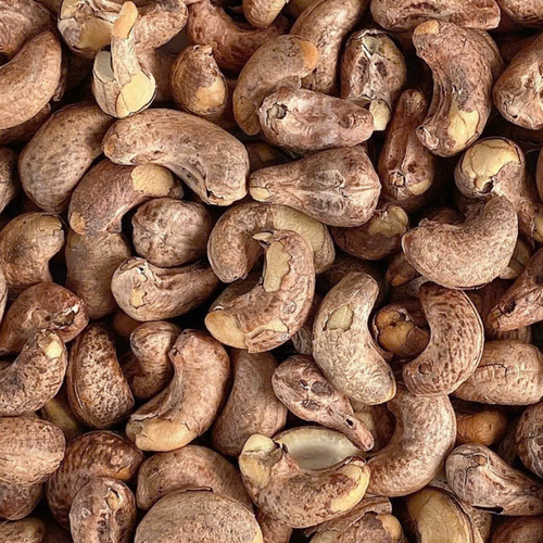 Vietnamese Roasted Cashew Nuts A320 – Thanh Nam Production