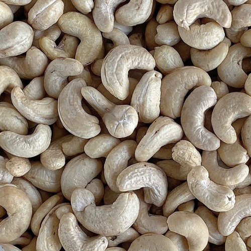 Vietnamese Cashew Nuts WW320 – Thanh Nam Production