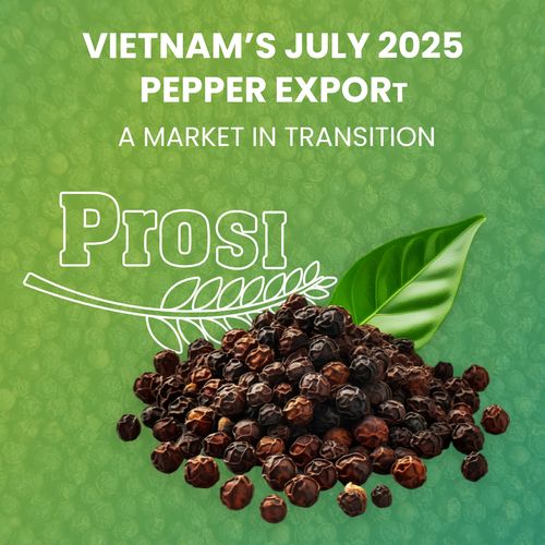 Pepper Brochure
