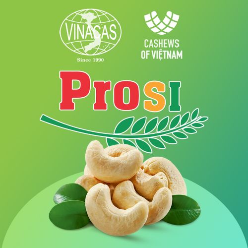 Cashew Brochure