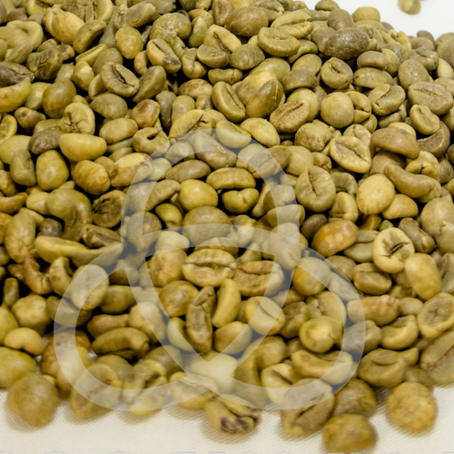Robusta coffee