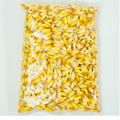 Chulpe Corn