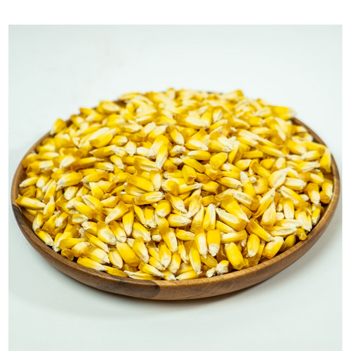 Chulpe Corn