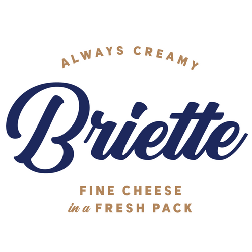 Briette - fine cheese in a fresh pack