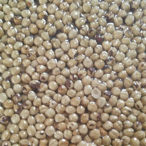 Roasted and Blanched hazelnut kernels