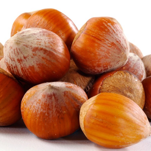 In Shell Hazelnut