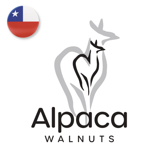 Alapaca