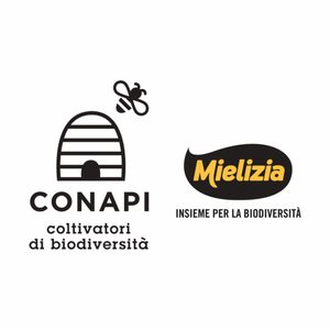 CONAPI-MIELIZIA