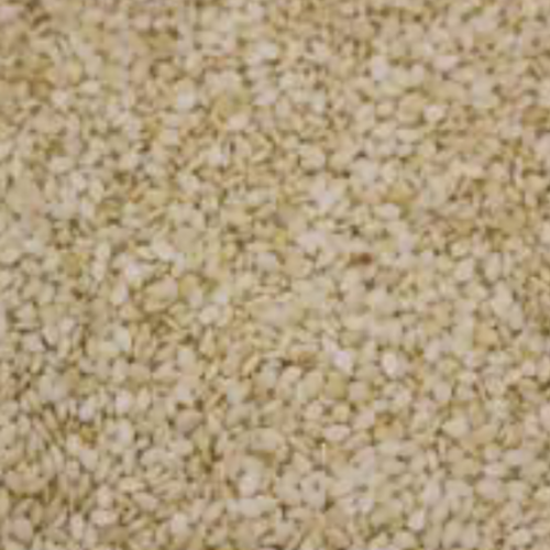 Sesame Seeds