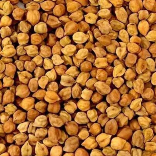 Desi Chickpeas