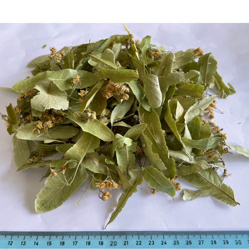 Silver Linden Flower